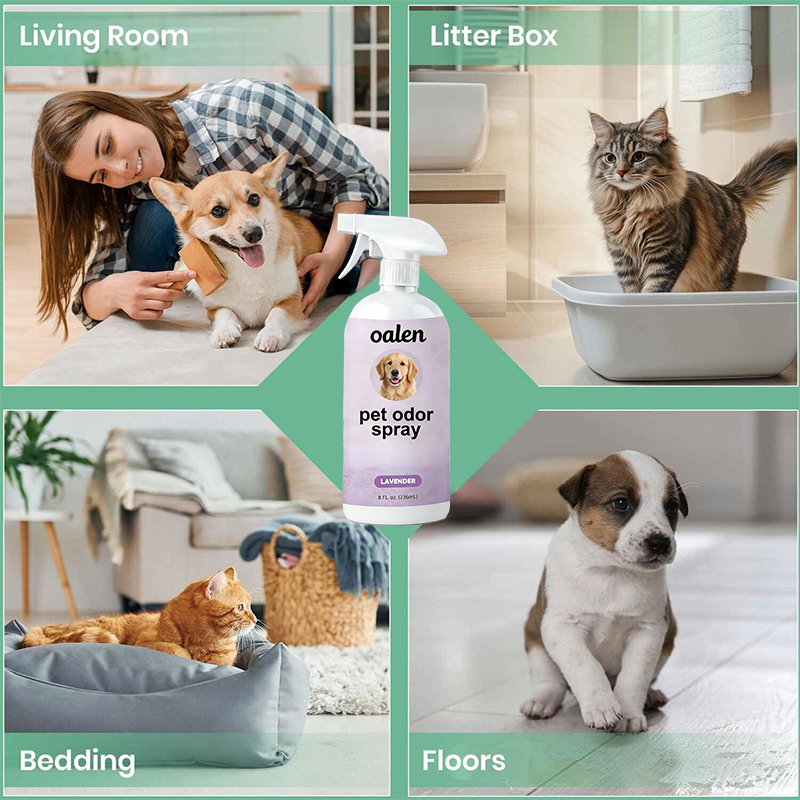 Luxfume Quick Dry Pet Odor Remover Spray Neutralizes Pet Scents on Skin Safe for Direct Use on Pets Their Environment,oalen cosmetics