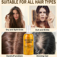 Private Label Ginseng Dew Shampoo Natural Anti-Hair Loss Strengthening Shampoo for Damaged Hair Dry Scalp and Thinning Hair,MY SHOP