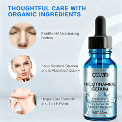 Niacinamide Serum 10% Niacinamide 1% Zinc Serum With Private Labels for OEM Service Minimize Pores Control Oil Reduce Blemishes,oalen cosmetics