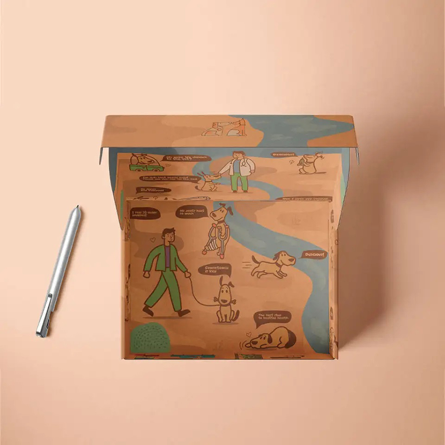 Custom Design Corrugated Box Custom Logo Corrugated Aircraft Box Express Mailer For Shoe Clothing Shipping
