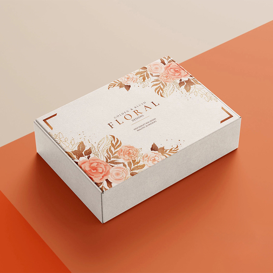 Custom Design Corrugated Box Custom Logo Corrugated Aircraft Box Express Mailer For Shoe Clothing Shipping