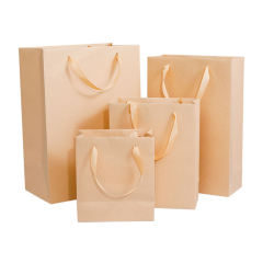 Colorful Cardboard Paper Bag Custom Printed Logo Gift Bag Shopping Luxury Clothing Paper Bag