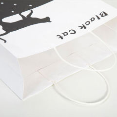 Customizable Design Packaging Bags Eco-friendly Gift Bags Shopping Paper Bags