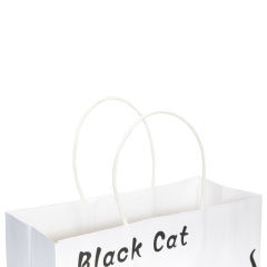 Customizable Design Packaging Bags Eco-friendly Gift Bags Shopping Paper Bags