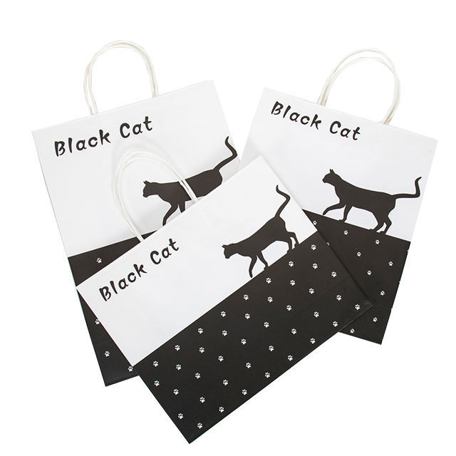 Customizable Design Packaging Bags Eco-friendly Gift Bags Shopping Paper Bags