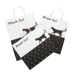 Customizable Design Packaging Bags Eco-friendly Gift Bags Shopping Paper Bags