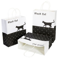 Customizable Design Packaging Bags Eco-friendly Gift Bags Shopping Paper Bags
