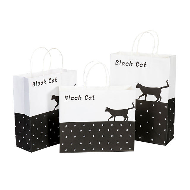 Customizable Design Packaging Bags Eco-friendly Gift Bags Shopping Paper Bags