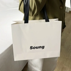 Simple-style Wholesale Customizable Color Logo Printing Paper Bag with Handle