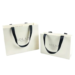 Simple-style Wholesale Customizable Color Logo Printing Paper Bag with Handle