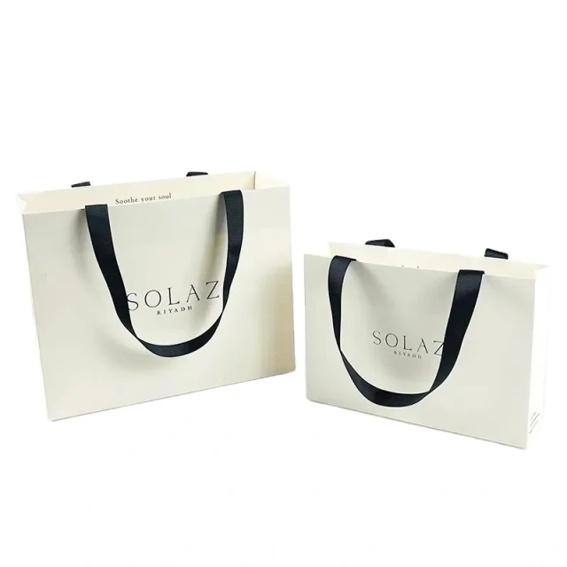 Simple-style Wholesale Customizable Color Logo Printing Paper Bag with Handle