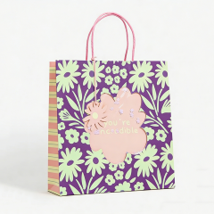 Custom Cosmetics Clothes Packaging Art Paper Bags with Ribbon Handle Offset Printing Recyclable Luxury Custom Shopping Bags