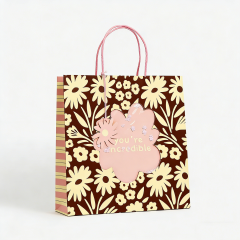 Custom Cosmetics Clothes Packaging Art Paper Bags with Ribbon Handle Offset Printing Recyclable Luxury Custom Shopping Bags