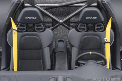 78181 1/18 PORSCHE 911 (991.2) GT3 RS ( MINT GREEN )