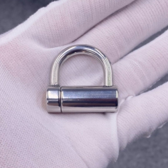 D Ring PA Lock