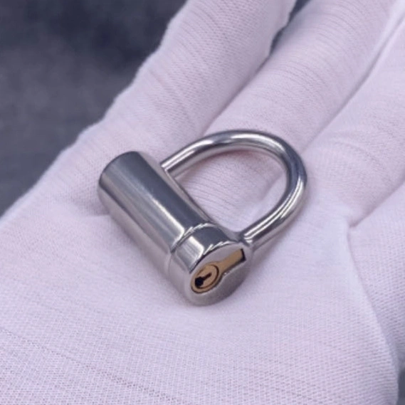 D Ring PA Lock