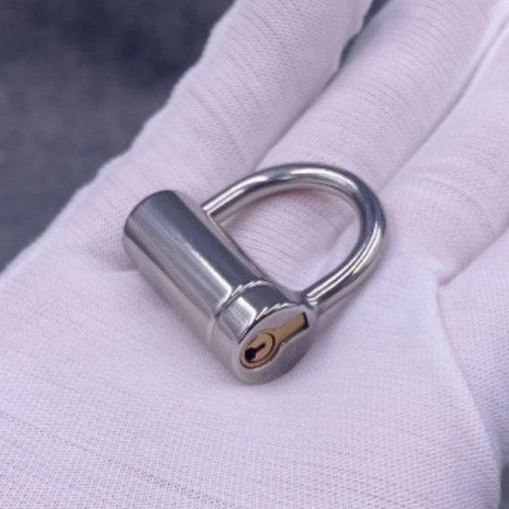 D Ring PA Lock
