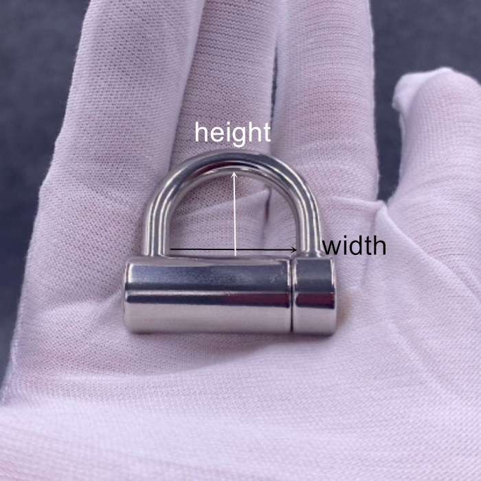 D Ring PA Lock