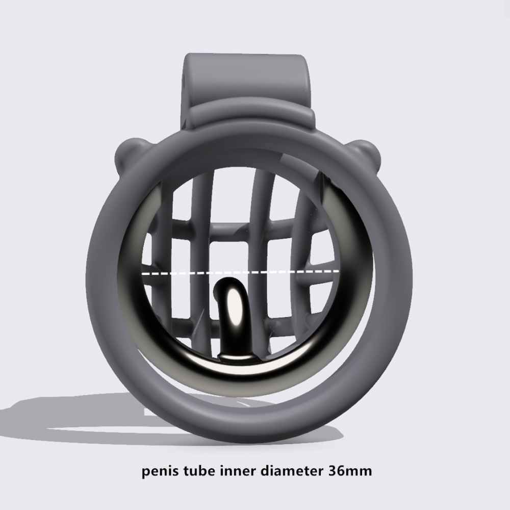 BRS-21(48/36)