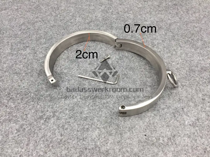 Screw Lock Stainless Steel BDSM Collar
