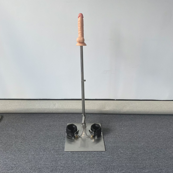 One Bar Prison with Vac U Lock Plug Dildo