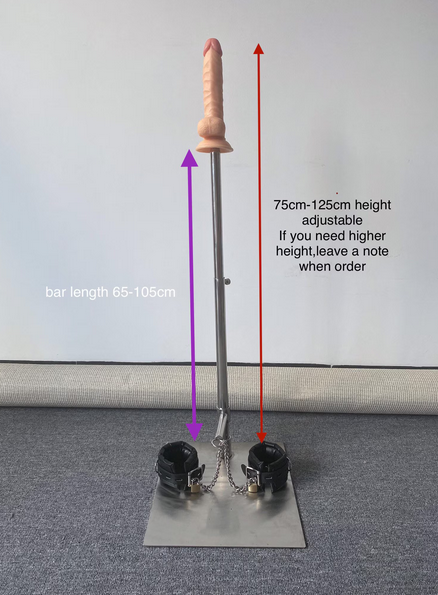 One Bar Prison with Vac U Lock Plug Dildo