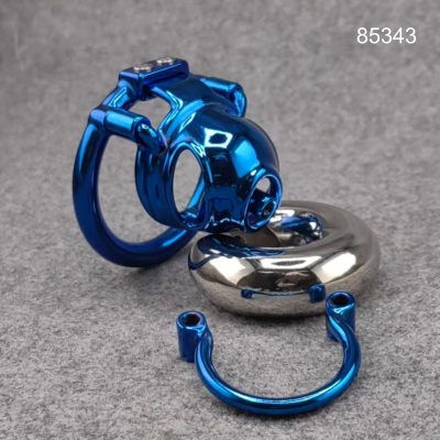 BAWR Custom Cage (with PA)