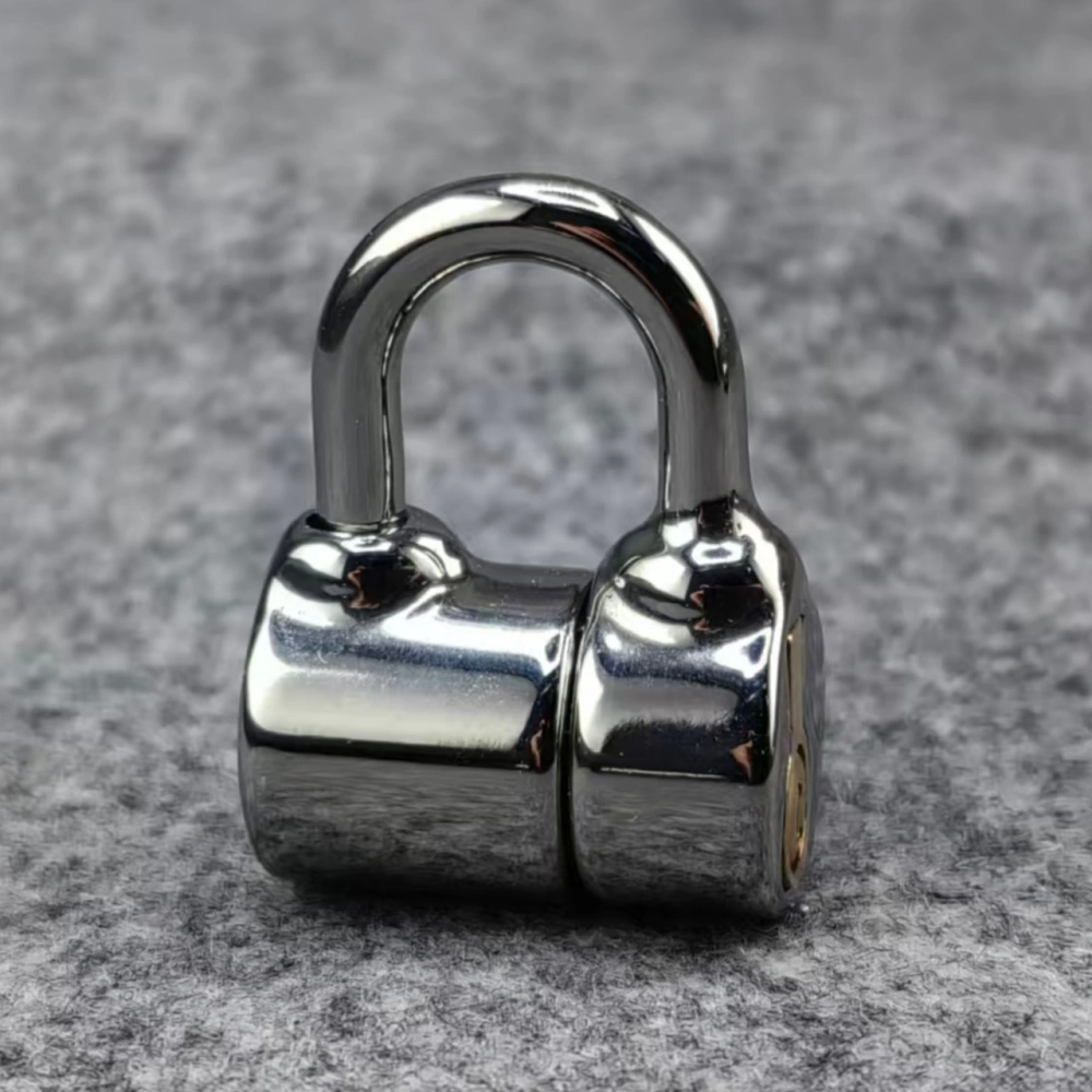 Small Size D Ring PA Lock