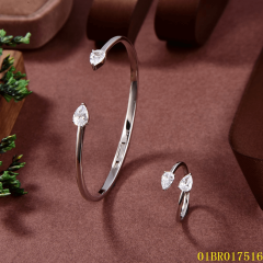 Wholesale Fashion Sterling Silver 925 Jewelry Bangle set