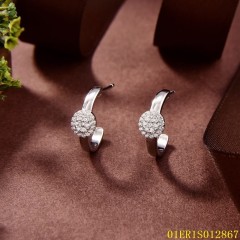 Hot Style Wholesale jewelry Earrings
