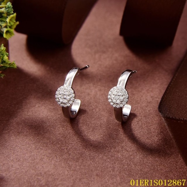 Hot Style Wholesale jewelry Earrings