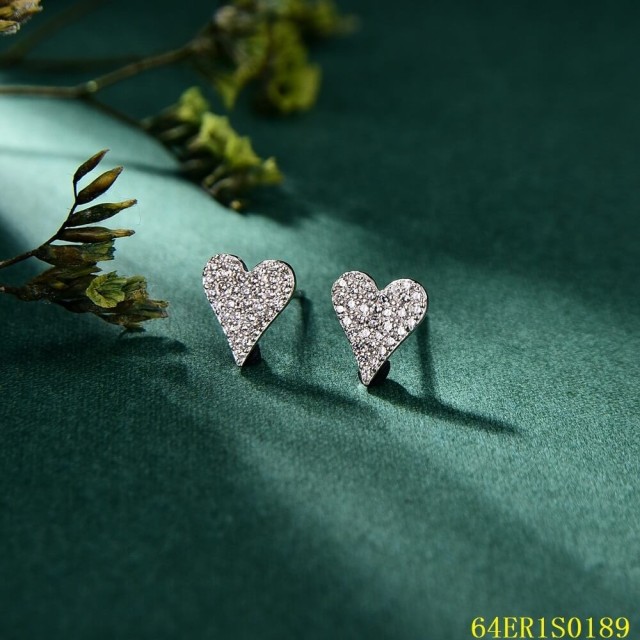 Top Fashion Sterling Silver 925 jewelry Earrings