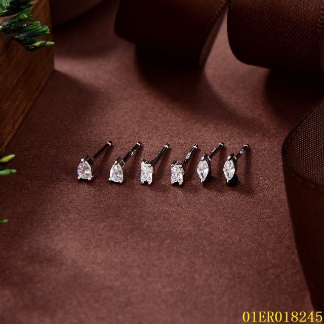 New Product jewelry Earrings