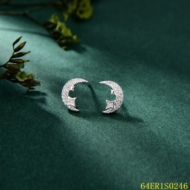 Hot Style Wholesale Sterling Silver 925 jewelry Earrings