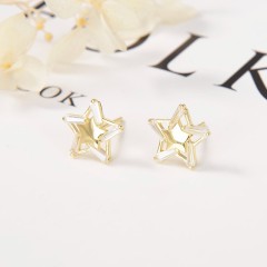 Popular Wholesale Designer jewelry Earrings