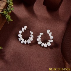 Direct Selling jewelry Earrings