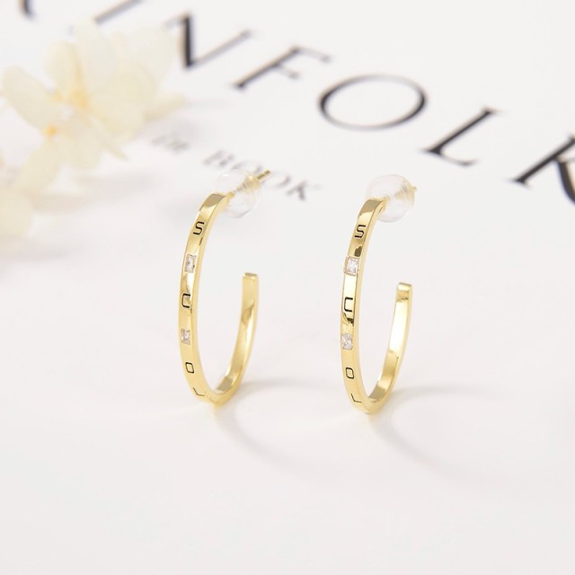 Popular Wholesale Designer jewelry Earrings