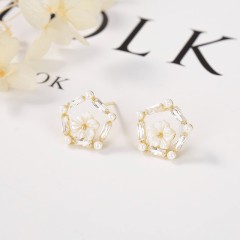 Direct Selling jewelry Earrings