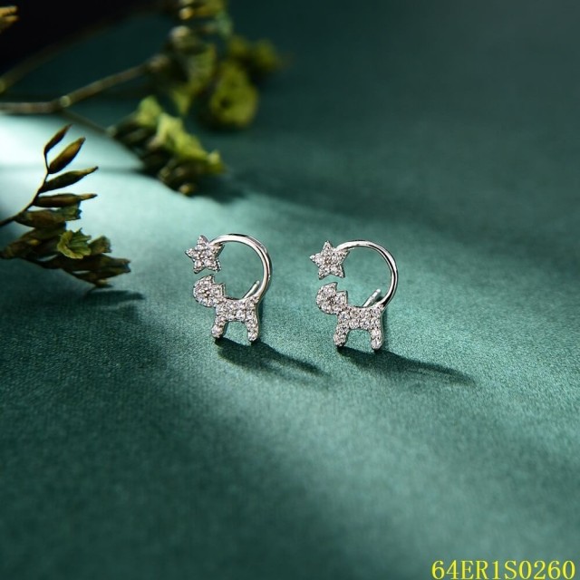 Classic Hot Sale Sterling Silver 925 jewelry Earrings