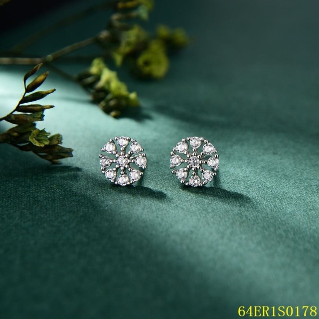 Hot Style Wholesale Sterling Silver 925 jewelry Earrings