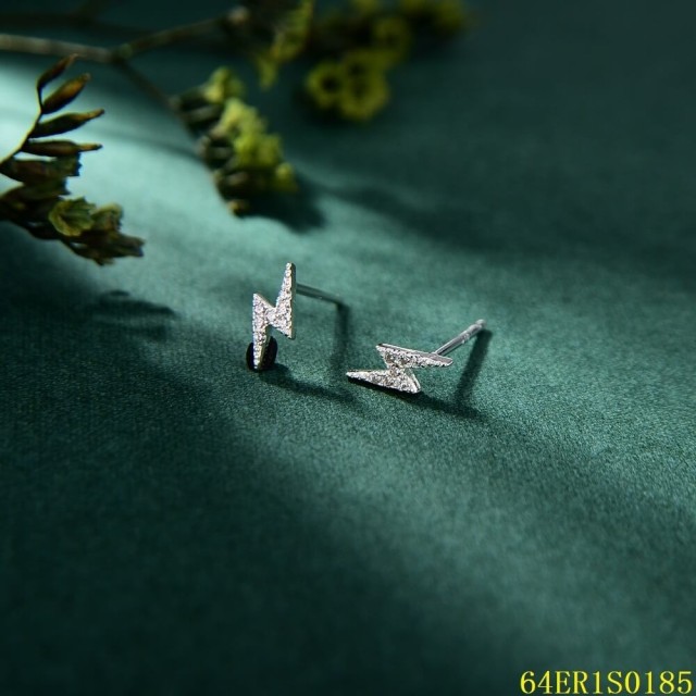 wholesale price Sterling Silver 925 jewelry Earrings