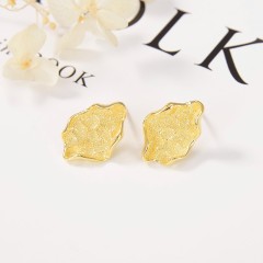 Hot Style Wholesale jewelry Earrings