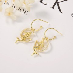 Direct Selling jewelry Earrings