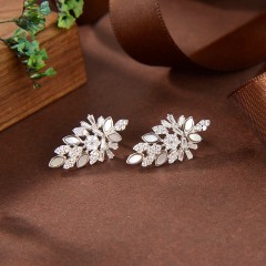 Hot Fashion jewelry Earrings
