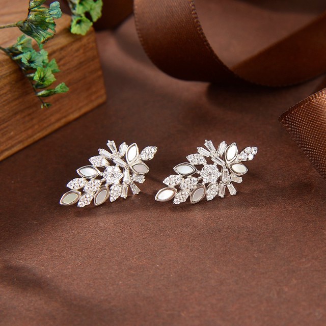 Hot Fashion jewelry Earrings