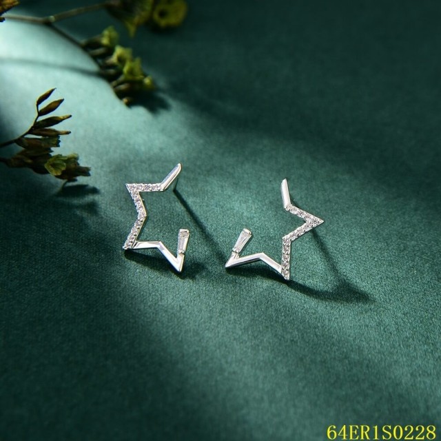 Top Fashion Sterling Silver 925 jewelry Earrings