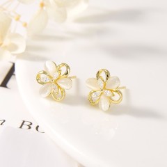 Wholesale Fashion jewelry Earrings