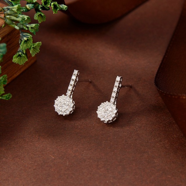 Hot Style Wholesale jewelry Earrings