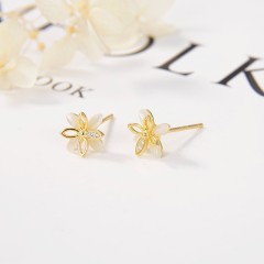 Direct Selling jewelry Earrings