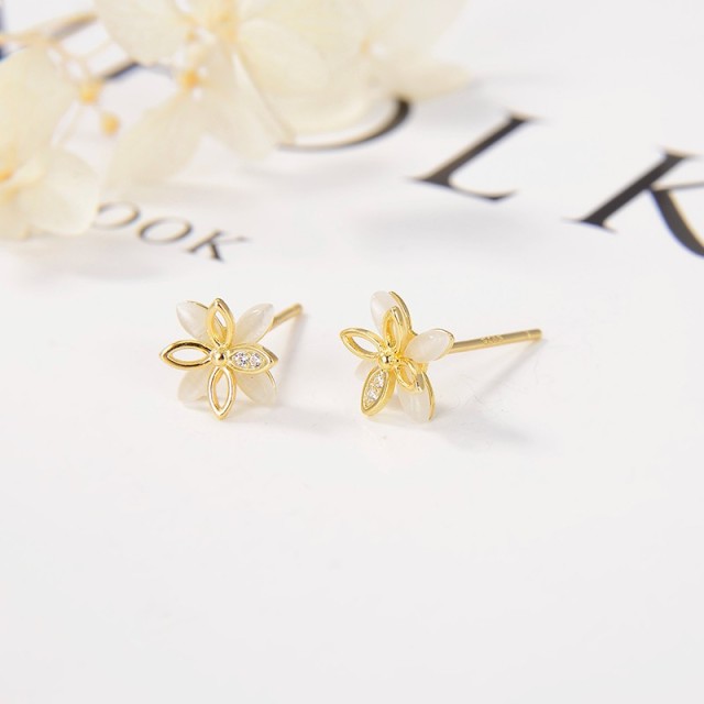 Direct Selling jewelry Earrings